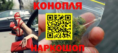 прущие грибы Кудрово