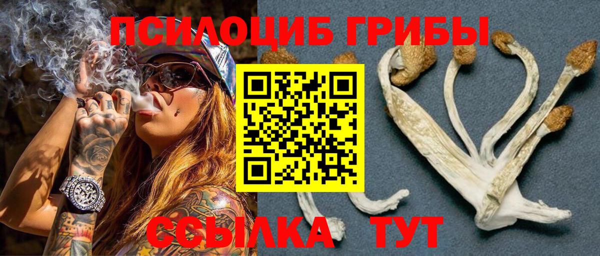Псилоцибиновые грибы MAGIC MUSHROOMS Губкин