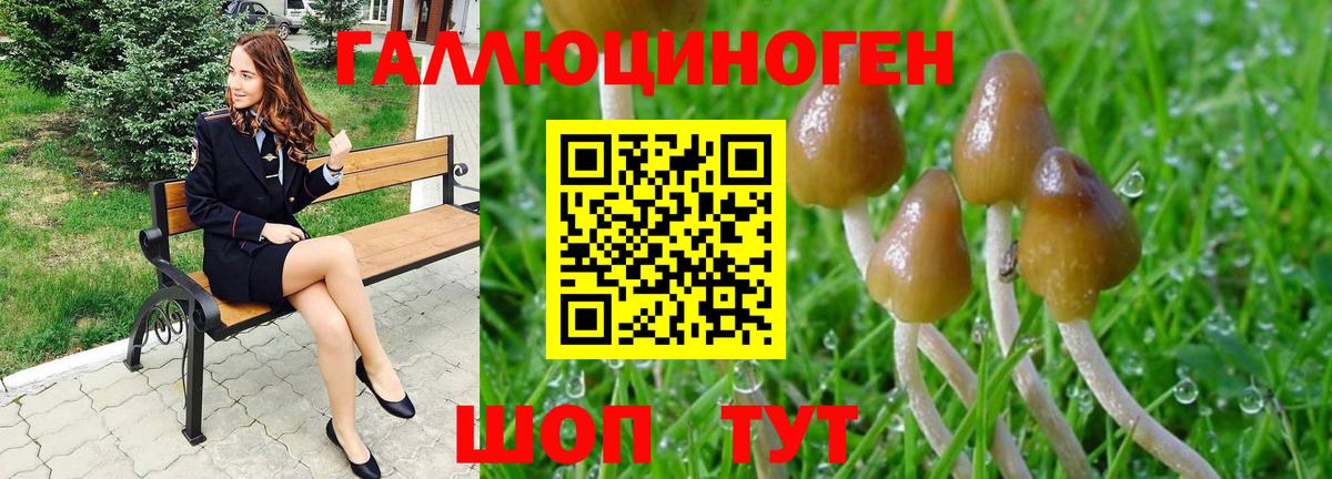 Псилоцибиновые грибы GOLDEN TEACHER  Вход с VPN  Псилоцибиновые грибы MAGIC MUSHROOMS  где продают   Губкин 